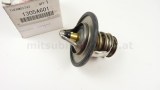 Thermostat Neu
